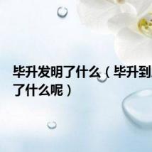 毕升发明了什么(毕升到底发明了什么呢)