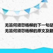 羌笛何须怨杨柳的下一句是什么(羌笛何须怨杨柳的原文及翻译)
