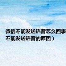 微信不能发送语音怎么回事(微信不能发送语音的原因)