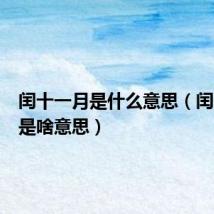 闰十一月是什么意思(闰十一月是啥意思)