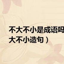 不大不小是成语吗（不大不小造句）