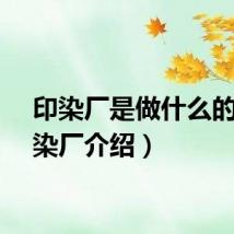 印染厂是做什么的（印染厂介绍）