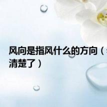 风向是指风什么的方向(看完就清楚了)