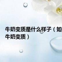 牛奶变质是什么样子(如何辨别牛奶变质)
