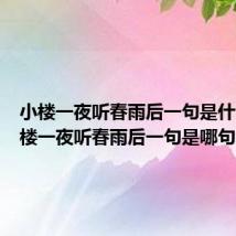 小楼一夜听春雨后一句是什么(小楼一夜听春雨后一句是哪句)