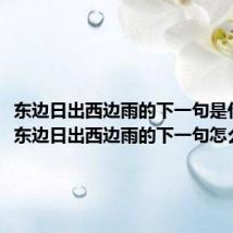 东边日出西边雨的下一句是什么(东边日出西边雨的下一句怎么说的)