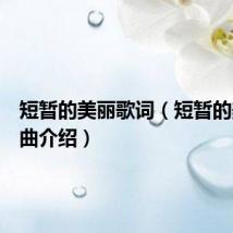 短暂的美丽歌词（短暂的美丽歌曲介绍）