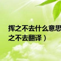 挥之不去什么意思（挥之不去翻译）