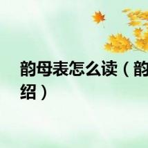 韵母表怎么读（韵母介绍）