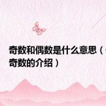奇数和偶数是什么意思(偶数和奇数的介绍)