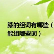 膝的组词有哪些（膝字能组哪些词）