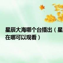 星辰大海哪个台播出(星辰大海在哪可以观看)