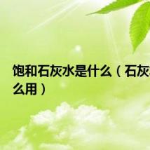 饱和石灰水是什么（石灰水有什么用）