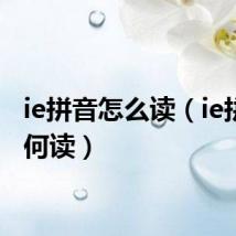 ie拼音怎么读（ie拼音如何读）