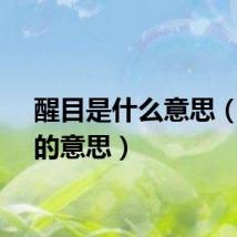 醒目是什么意思（醒目的意思）