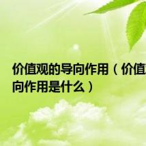 价值观的导向作用（价值观的导向作用是什么）