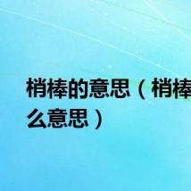 梢棒的意思（梢棒是什么意思）