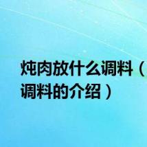 炖肉放什么调料（炖肉调料的介绍）