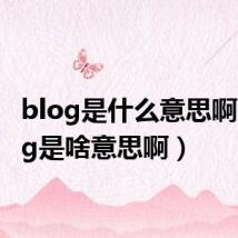 blog是什么意思啊(blog是啥意思啊)