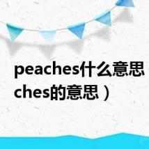 peaches什么意思（peaches的意思）