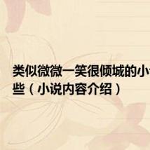 类似微微一笑很倾城的小说有哪些(小说内容介绍)