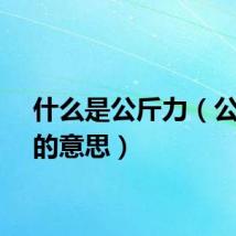 什么是公斤力（公斤力的意思）