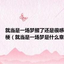 就当是一场梦醒了还是很感动什么梗(就当是一场梦是什么意思)