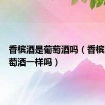 香槟酒是葡萄酒吗(香槟酒和葡萄酒一样吗)