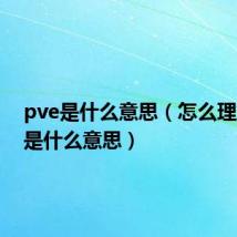 pve是什么意思(怎么理解pve是什么意思)