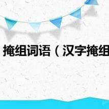 掩组词语（汉字掩组词）