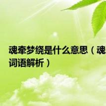 魂牵梦绕是什么意思(魂牵梦绕词语解析)