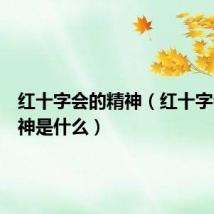红十字会的精神(红十字会的精神是什么)