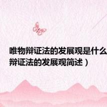 唯物辩证法的发展观是什么(唯物辩证法的发展观简述)