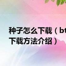 种子怎么下载(bt种子下载方法介绍)