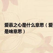爱慕之心是什么意思(爱慕之心是啥意思)