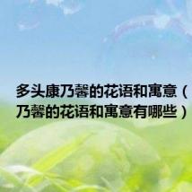 多头康乃馨的花语和寓意(多头康乃馨的花语和寓意有哪些)