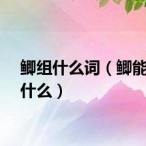 鲫组什么词（鲫能组词什么）