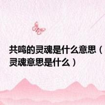 共鸣的灵魂是什么意思(共鸣的灵魂意思是什么)