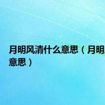 月明风清什么意思(月明风清的意思)