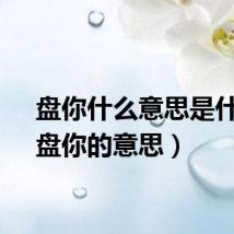 盘你什么意思是什么（盘你的意思）