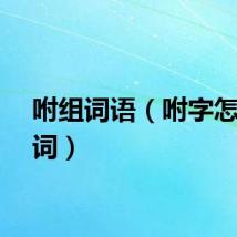 咐组词语（咐字怎么组词）