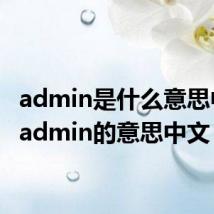 admin是什么意思中文(admin的意思中文)