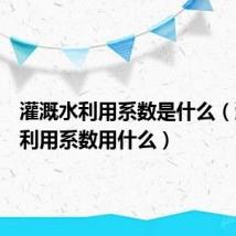 灌溉水利用系数是什么（灌溉水利用系数用什么）