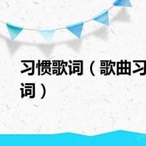 习惯歌词（歌曲习惯歌词）