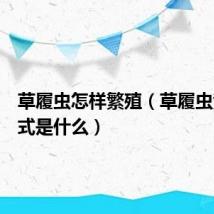 草履虫怎样繁殖（草履虫繁殖方式是什么）