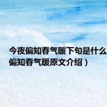 今夜偏知春气暖下句是什么（今夜偏知春气暖原文介绍）