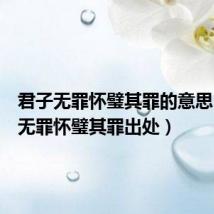 君子无罪怀璧其罪的意思(君子无罪怀璧其罪出处)