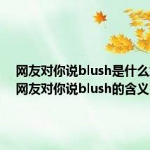网友对你说blush是什么意思(网友对你说blush的含义)
