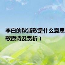 李白的秋浦歌是什么意思(秋浦歌原诗及赏析)
