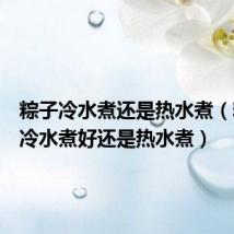 粽子冷水煮还是热水煮（粽子是冷水煮好还是热水煮）